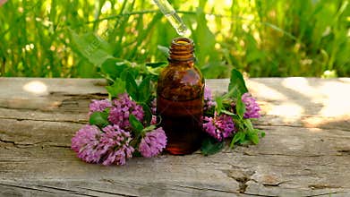 Red Clover Extract and Supplements. Selective Focus.