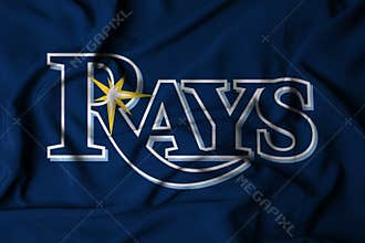 the logo of the MLB Tampa Bay Rays baseball team