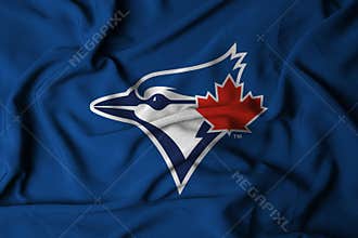the logo of the MLB Tampa Bay Rays baseball team