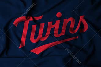 flag with the logo of the MLB Minnesota Twins baseball team