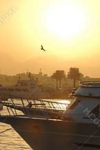 Sunset over harbor in Egypt