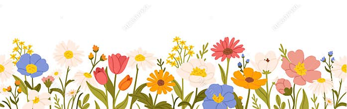Flower border. Seamless cartoon floral spring flowers. Garden blooming, stem, leaves, plants. Wildflower meadow blossoms