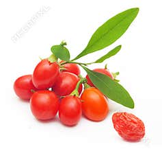 Goji berry isolated