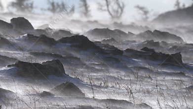 A snowstorm and a winter landscape on rocky mountain slope with bare trees