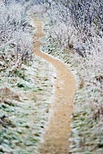 Path through the frozen countryside in December