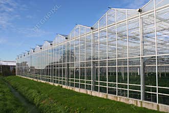 Greenhouse