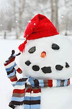 Mr. Snowman