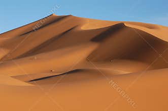 Sahara Desert
