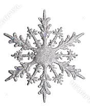 White Snow flake