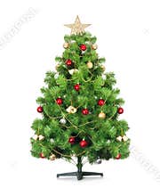 Christmas tree isolated.