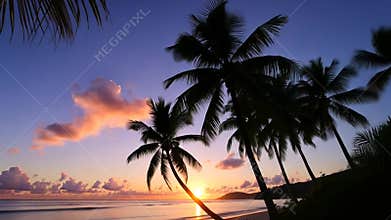 Sunset over tropical beach with palm trees, golden hour scenery stock footage Generative AI