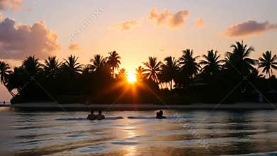 Beach sunset with palm trees, tropical evening and golden hour stock footage Generative AI