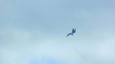 Aerobatics