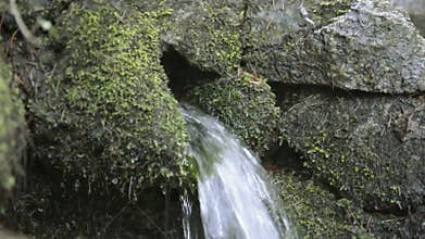 Water spring coming from rocks