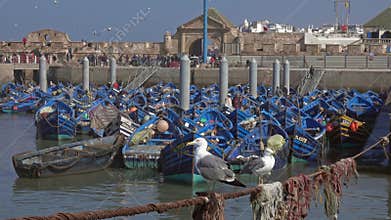 Blue fishing boats in port of Essaouira