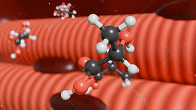 3d animation of lactic acid molecules and skeletal muscle.