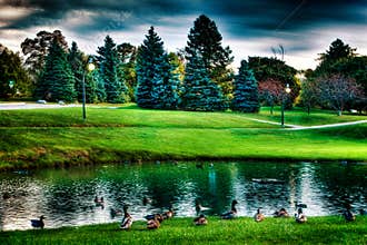 Landscape of lake and trees