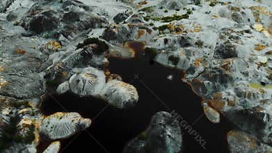 A closeup view showcasing an array of unique and captivating natural stone textures and patterns