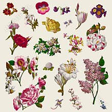 Vintage Victorian Flowers Clip Art