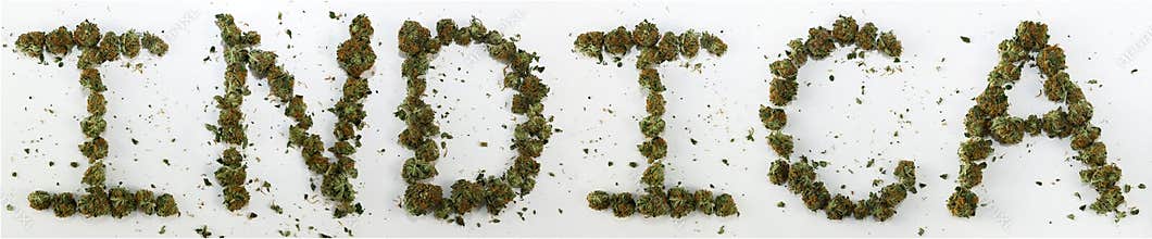 Indica Spelled With Marijuana