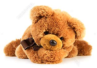 Toy teddy bear