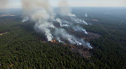 Aerial View of Forest Fire Burning with Smoke and Flames in Nature