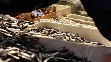 Turkish Sea Food Market