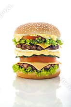 Tasty Hamburger
