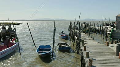 Fishing boats tied to wooden pier on sunny day