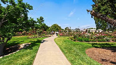 footage of a gorgeous spring landscape with colorful flowers at Huntington Library and Botanical Gardens in San Marino California