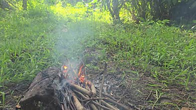 A small campfire is burning on the ground in a rural farmland