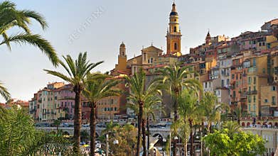 View of palm trees with the colourful bu