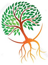 Tree Roots Logo