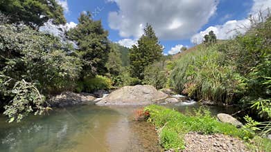 Beautifule clam waterfall in Norhland New Zealand