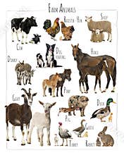 Educational composite image showing different farm animals and birds posing together on white background