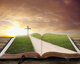 Open Bible with road.