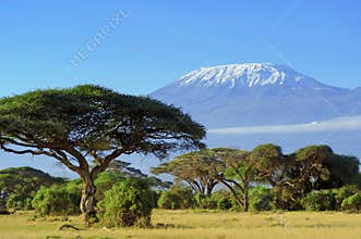 Kilimanjaro