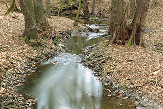 Kunratice brook valley