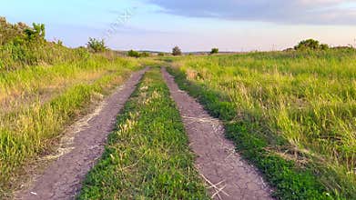 Empty countryside road crosses green meadow at sunset