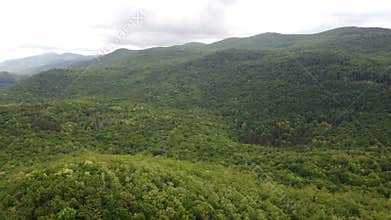 Aerial wide shot over a lush forest in the mountains taken in Istria, Croatia