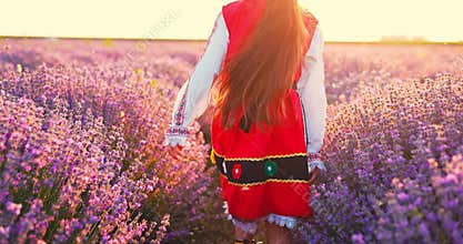 Beautiful bulgarian girl in ethnic folklore attire running on a blooming lavender field with warm sunset light and butterflies