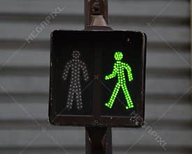 Pedestrian Traffic Light