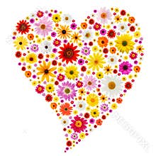 Spring heart