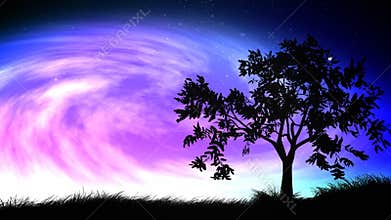 Night sky and tree loop