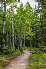 Scenic Landscape in Golden Gate Canyon State Park, Colorado