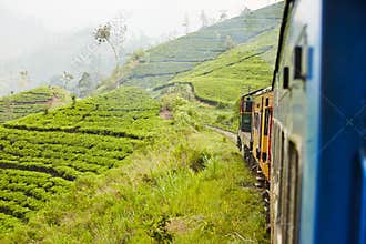 Train in Sri Lanka