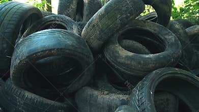 A large pile of discarded tires accumulates in a wooded area, showcasing the environmental challenges posed by improper