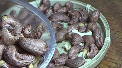 cashew nut scene, cashew shelling