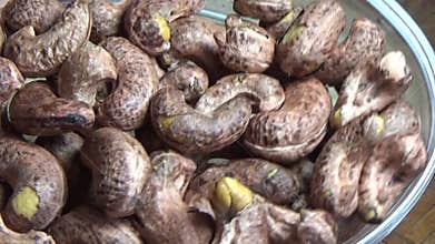 cashew nut scene, cashew shelling