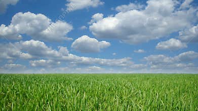 Cloudscape over green field